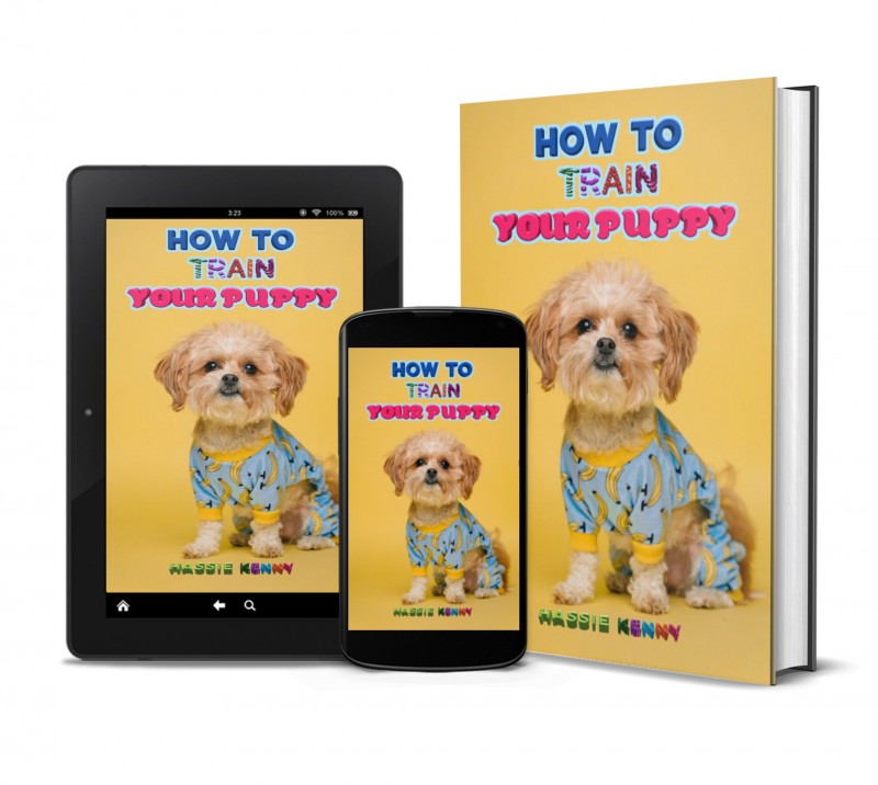 buy-how-to-train-your-puppy-by-wealthfitlife-on-selar-co