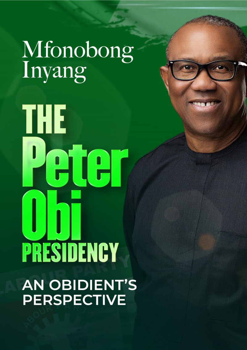 The Peter Obi Presidency; An OBIdient's Perspective