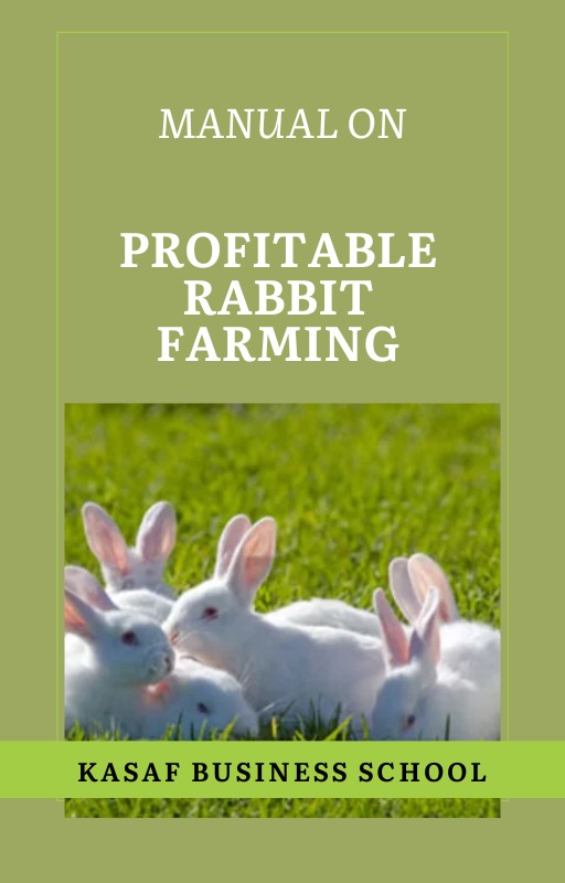 Buy PROFITABLE RABBIT FARMING by Coach Sandy Wealth on Selar