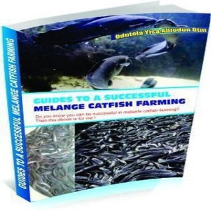 GUIDE TO A SUCCESSFUL MELANGE CATFISH FARMING