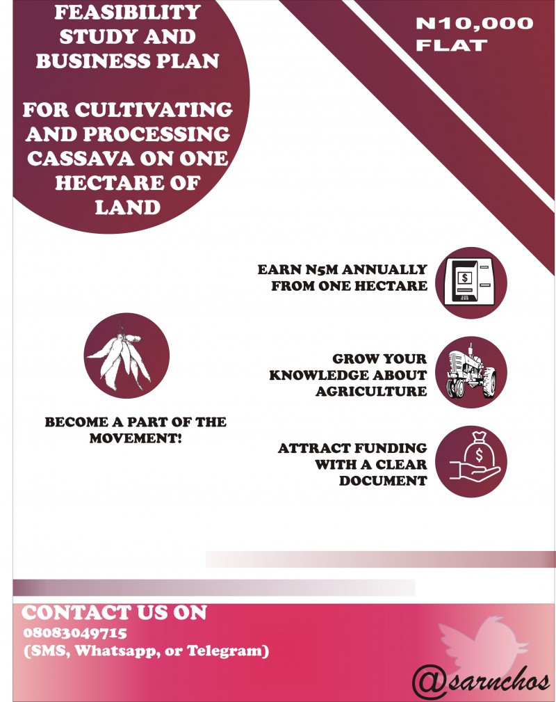 Cassava cultivation and processing business plan