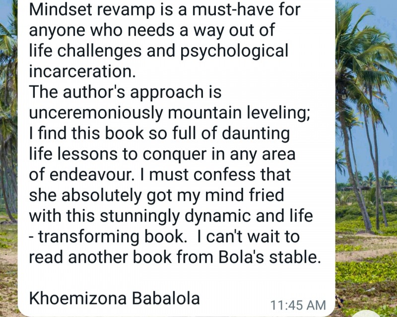 Buy Mindset Revamp: Seven Simple Steps For Crushing The Seeming Giants ...