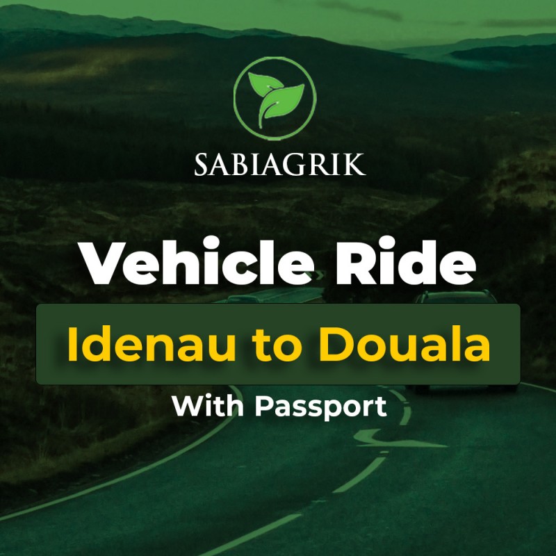 Vehicle Ride - Idenau to Doualla (Persons with Passport)