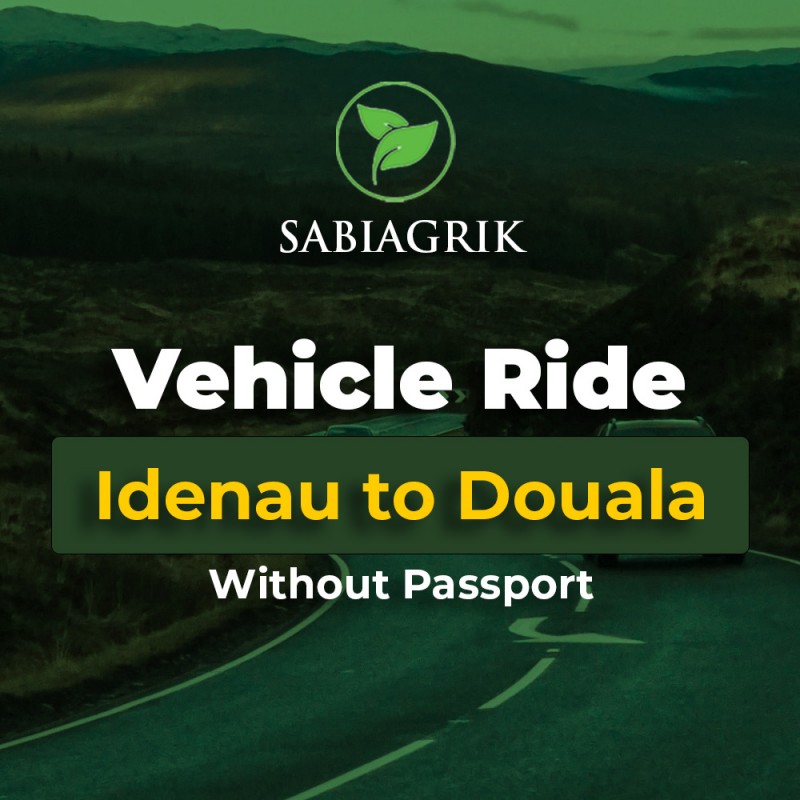 Vehicle Ride - Idenau to Doualla (Persons without Passport)