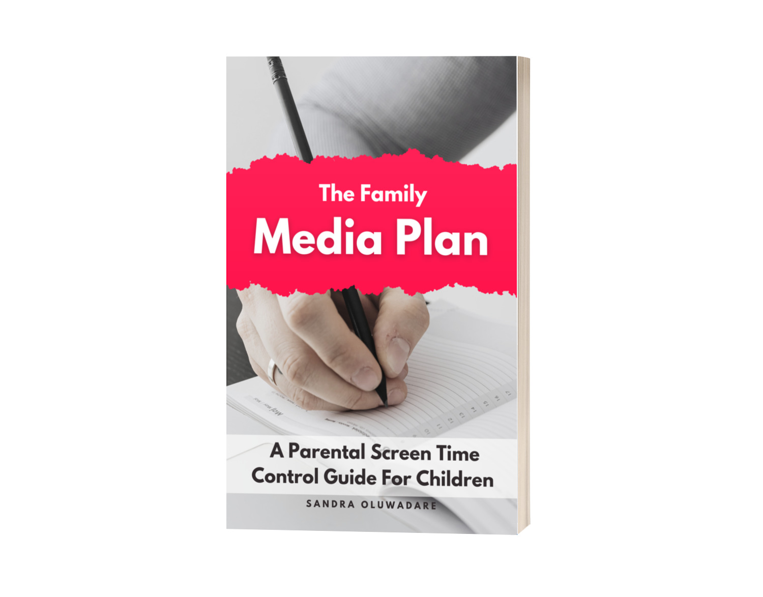 The Family Media Plan