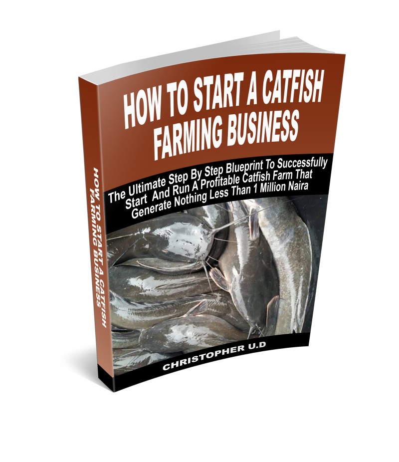 Profitable Catfish farming Business Blueprint