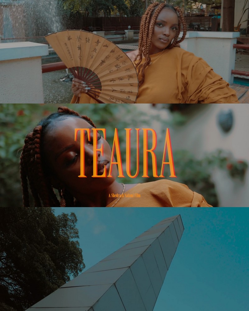 Video Editing Masterclass + Mentorship