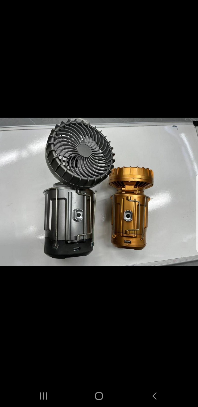 Rechargeable fan and light