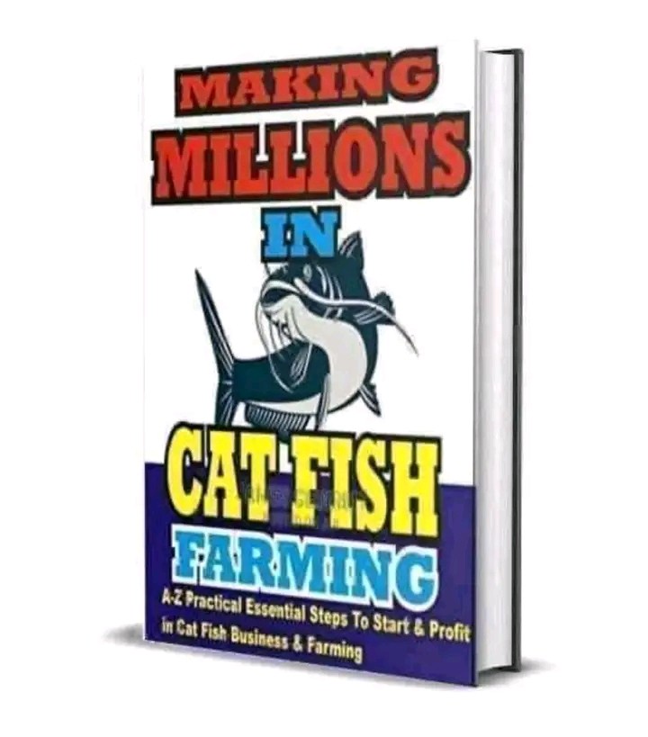 Step By Step Guide On Fish Farming