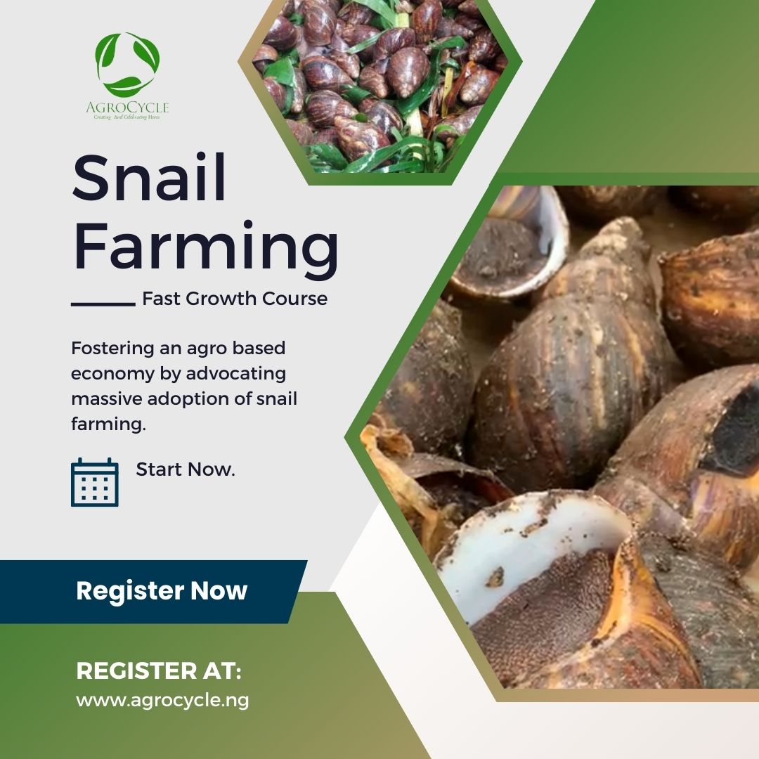 Buy 30 Day Snail Farming Fast Growth Program by AgroCycle Company on