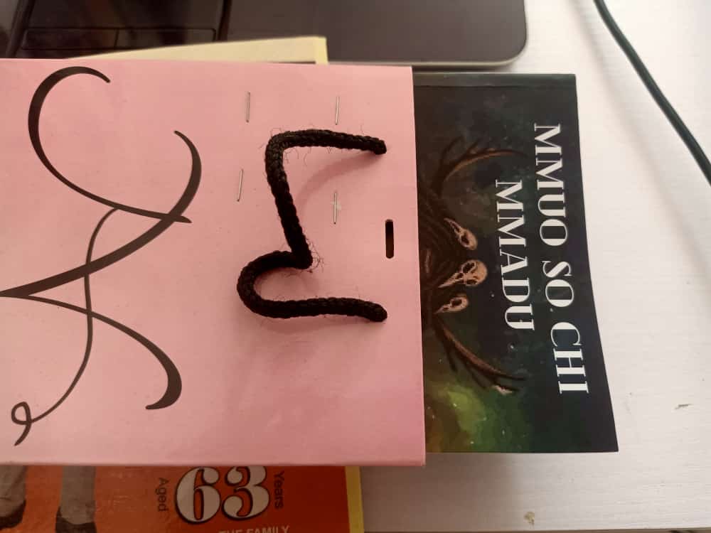 CHI NA EZUMEZU (HARD COPY)