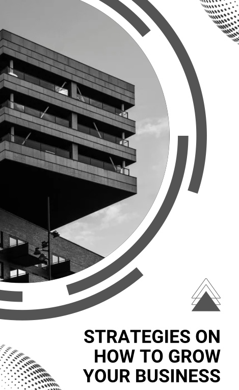 Buy Strategies on How to Grow Your Business by Okekearu Cynthia Ebube ...