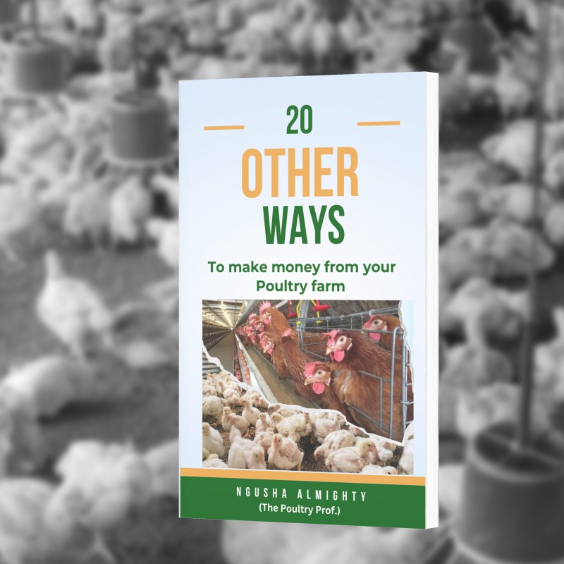 Buy 20 Other Ways to Make Money from your Poultry Farm by Nalmy Poultry