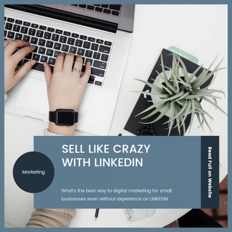 SELL LIKE CRAZY WITH LINKEDIN
