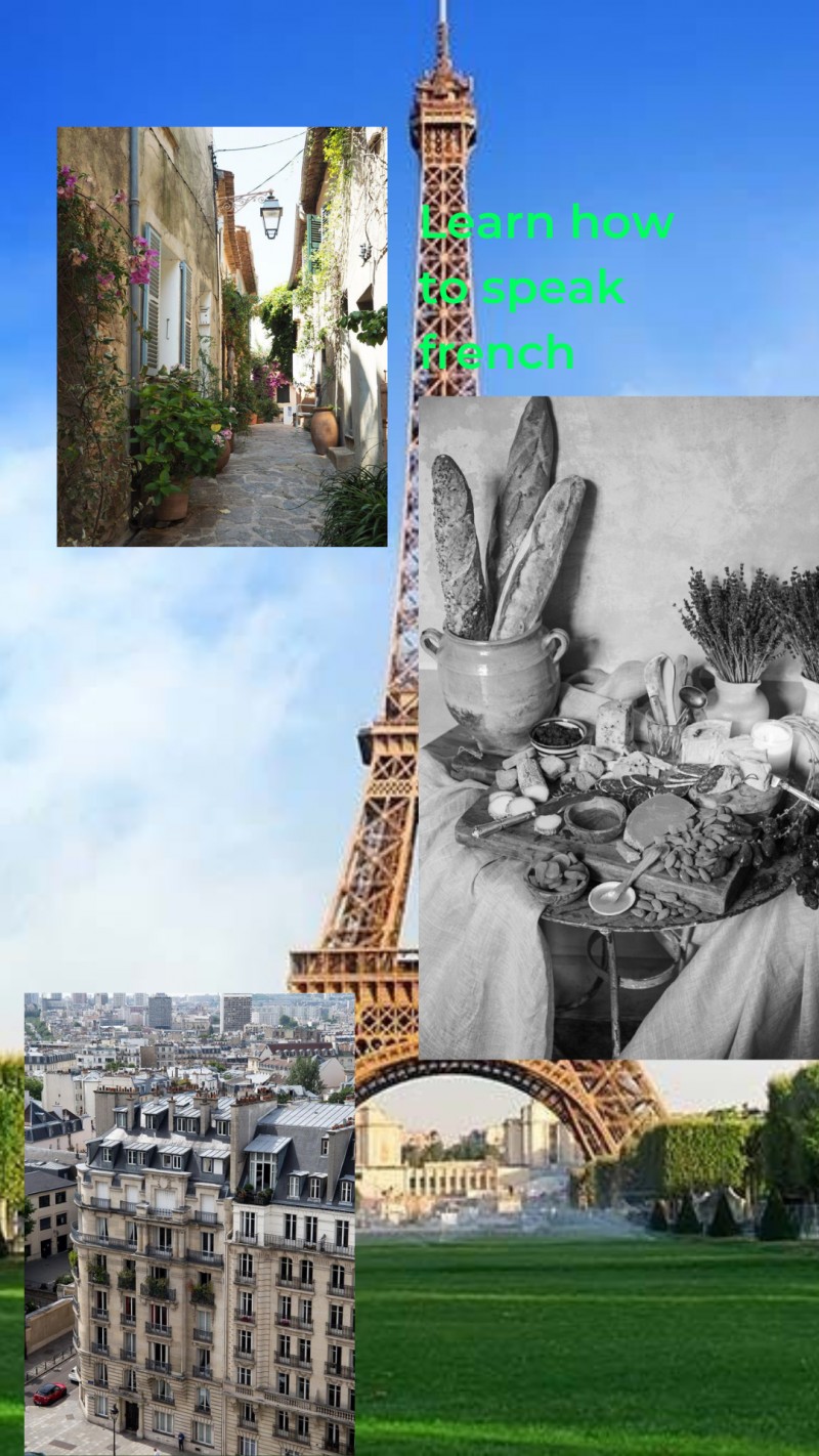 Buy Learn french language by Blessing Yusuf on Selar