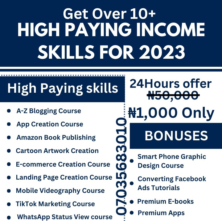 Buy HIGH PAYING INCOME SKILLS 2023 by Brightino Store on Selar