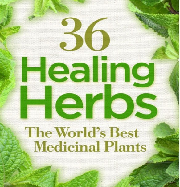 36 Healing Herbs_ The World's Best Medicinal Plants