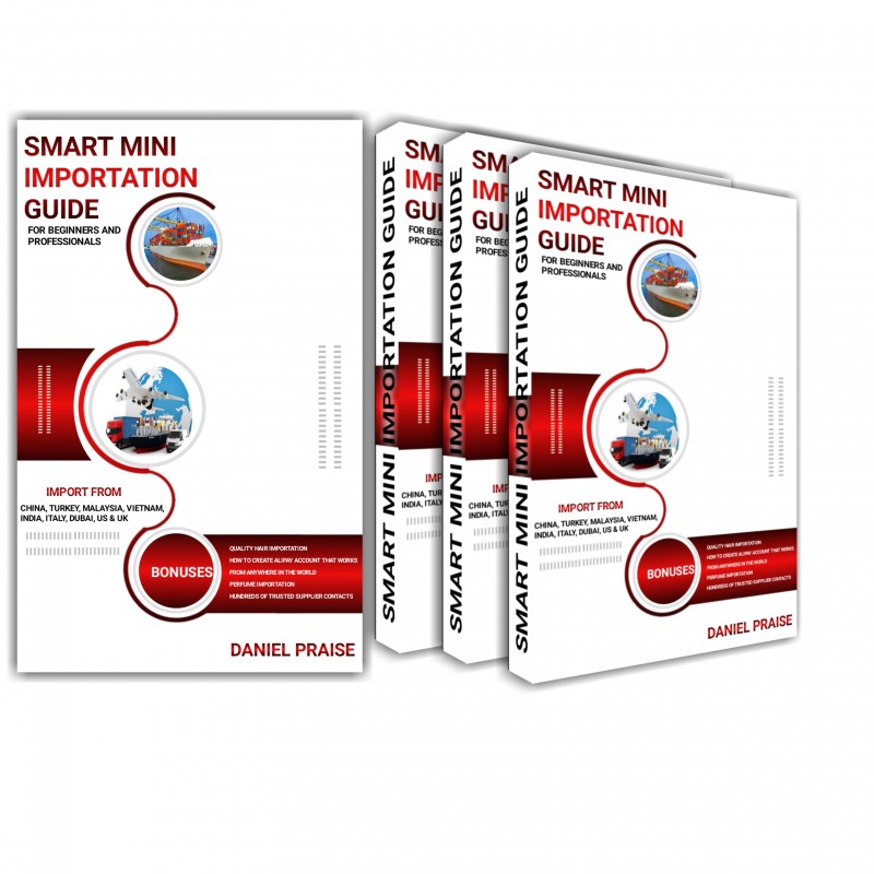 Buy Smart mini importation guide copy by Daniel Praise on Selar