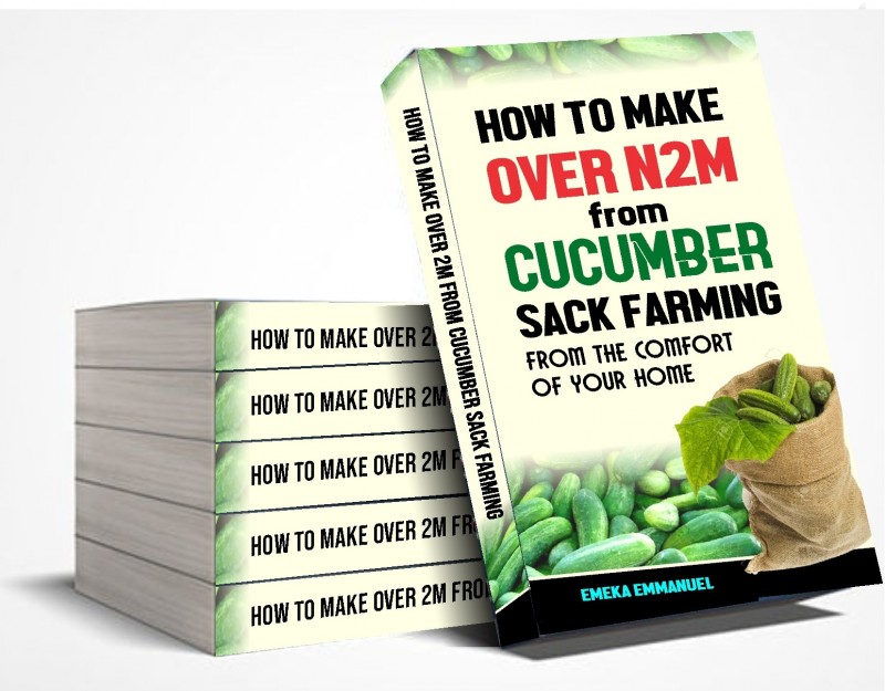 Buy Cucumber Sack Farming EBook. by Deno Books on Selar