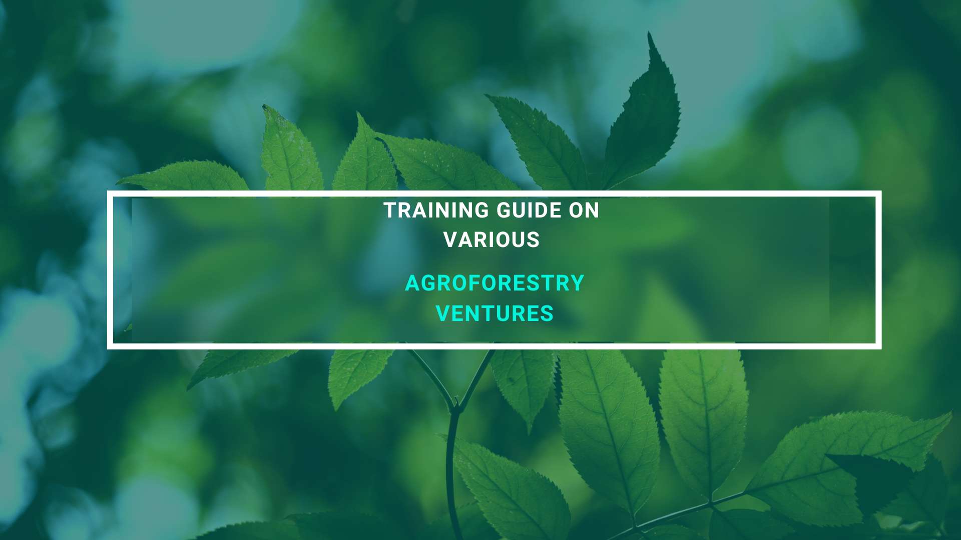 TRAINING GUIDES ON VARIOUS AGROFORESTRY VENTURES