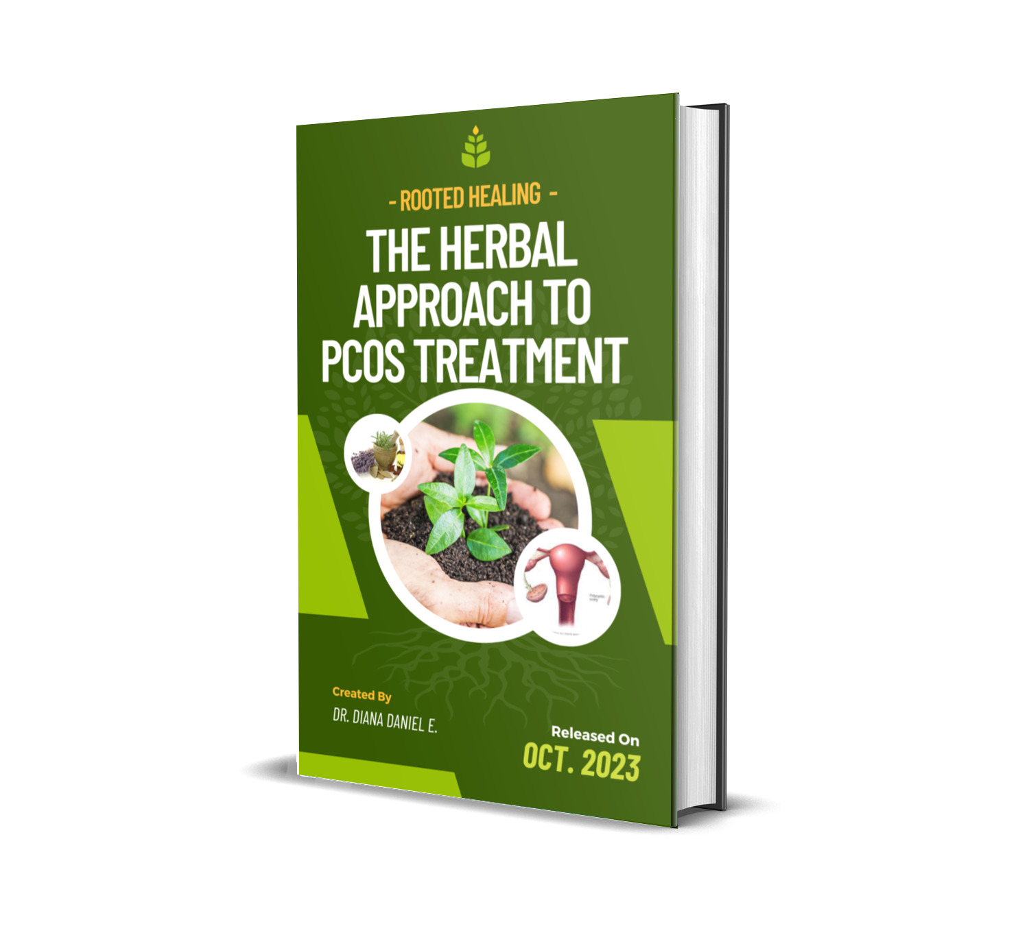 ROOTED HEALING: THE HERBAL APPROACH TO PCOS TREATMENT