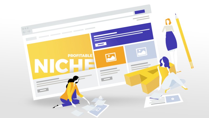 Done For You Micro Niche Website