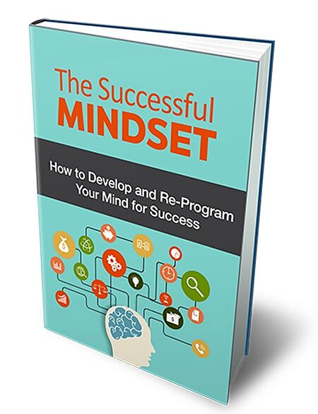 The Successful Mindset