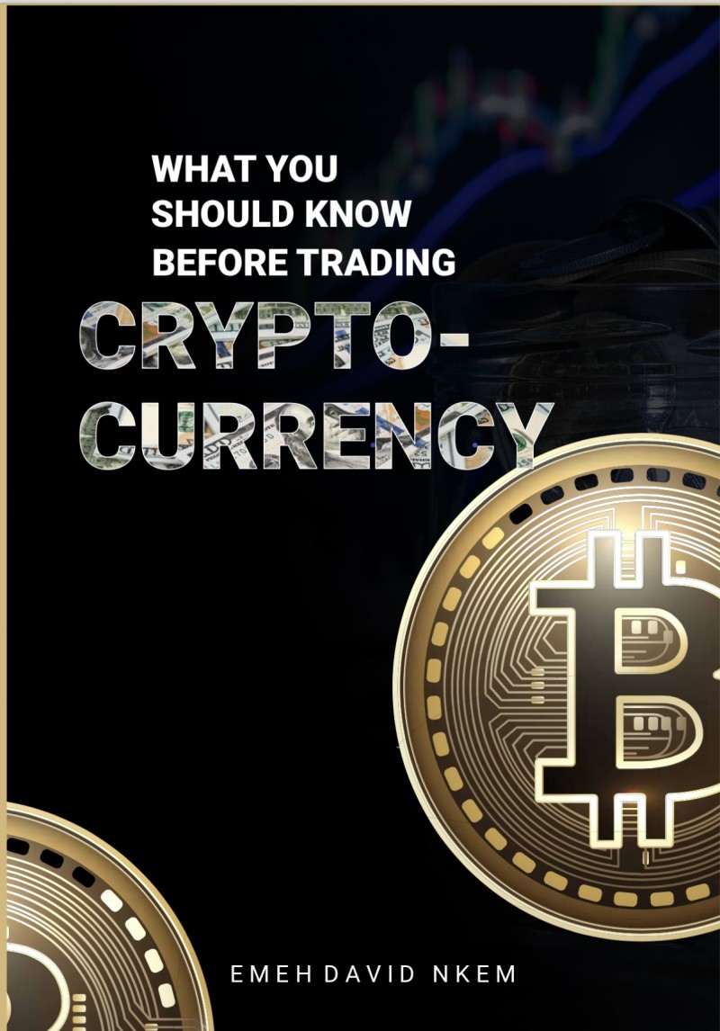 Buy What you should know before trading cryptocurrency by Emeh David Nkem  on Selar
