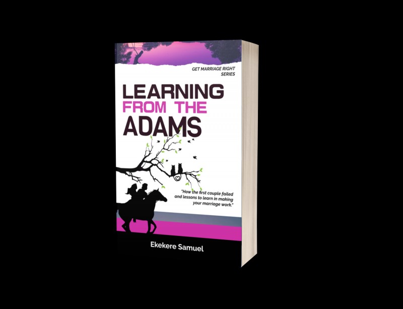 LEARNING FROM THE ADAMS