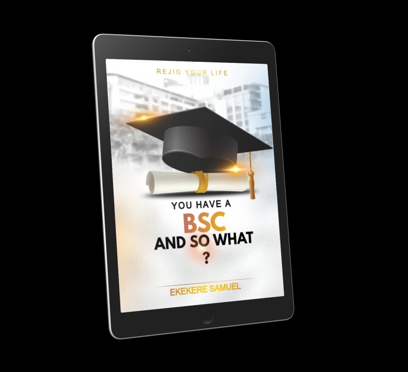 You Have a BSc, And So What?Life beyond your academic degree