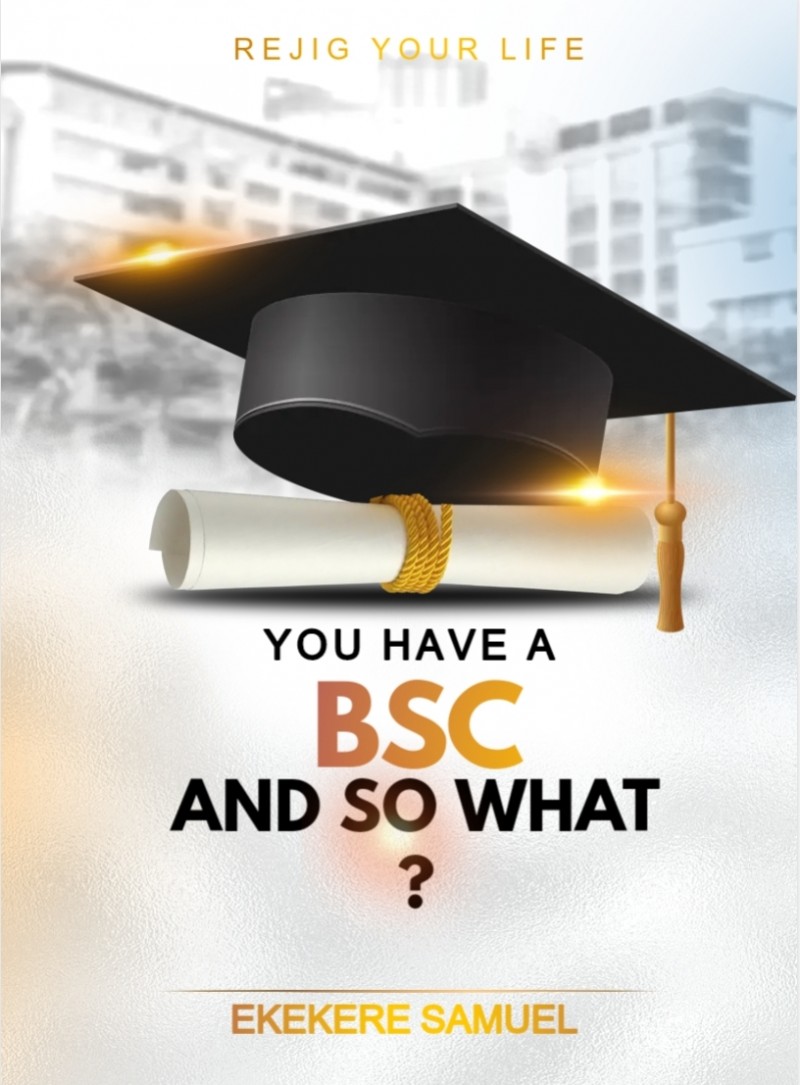 You Have a BSc, And So What?Life beyond your academic degree
