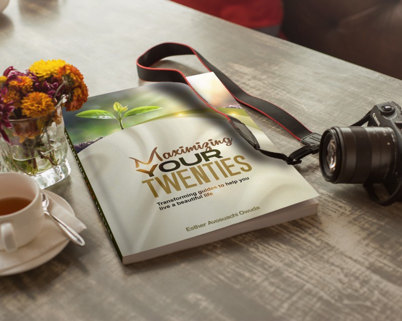 MAXIMIZING YOUR TWENTIES Ebook