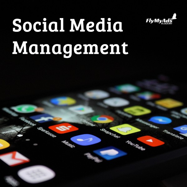 Social Media Management
