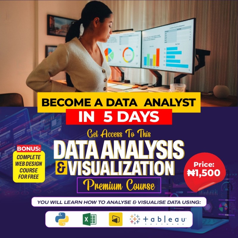 Buy DATA ANALYSIS & VISUALIZATION PREMIUM COURSE by Chibuike Ugochukwu ...