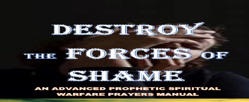 DESTROY THE FORCES OF SHAME