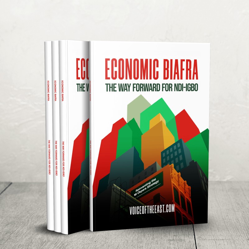 ECONOMIC BIAFRA: THE WAY FORWARD FOR NDI-IGBO