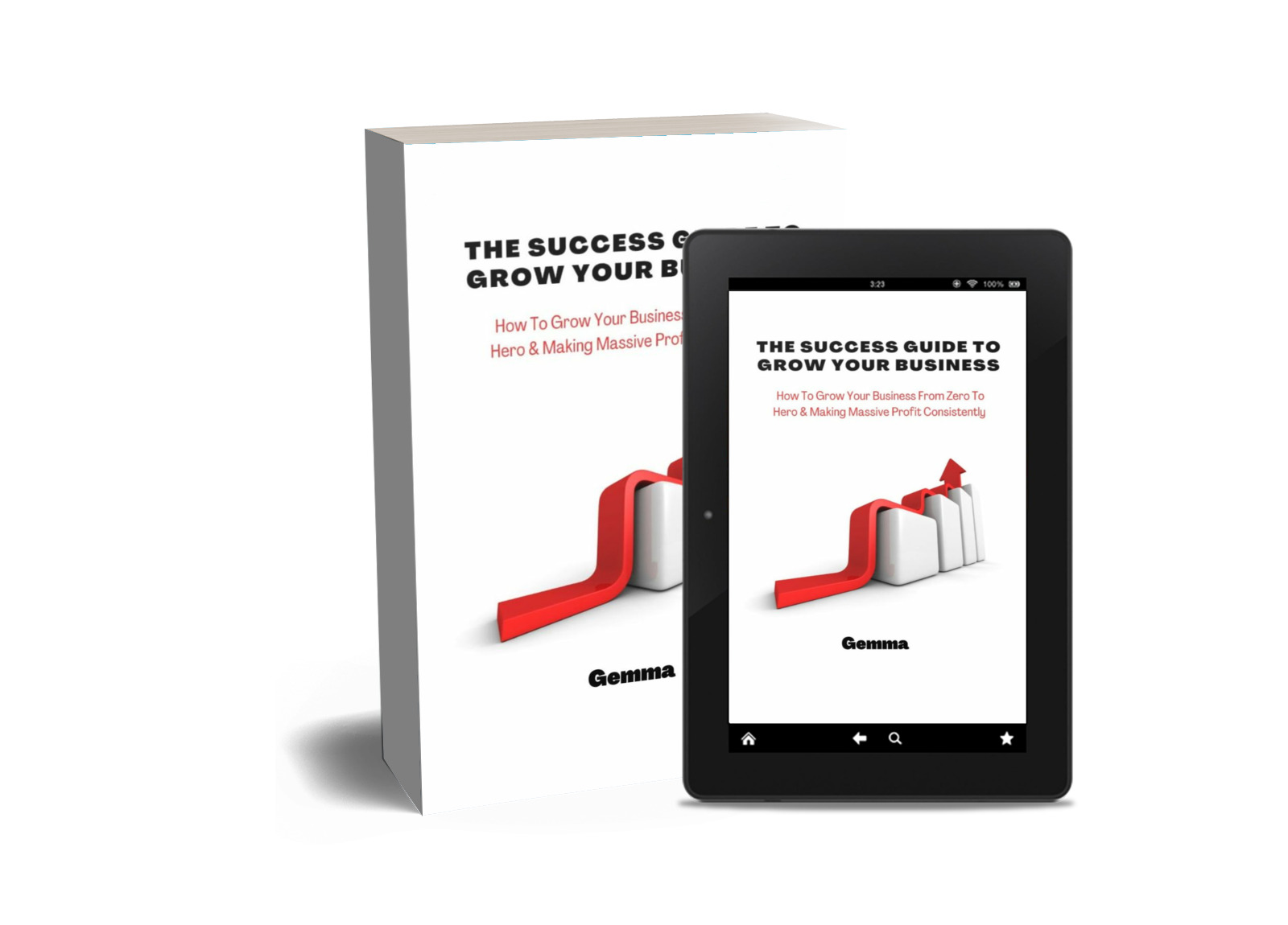 buy-the-success-guide-to-grow-your-business-by-awotola-aishat-bolatito