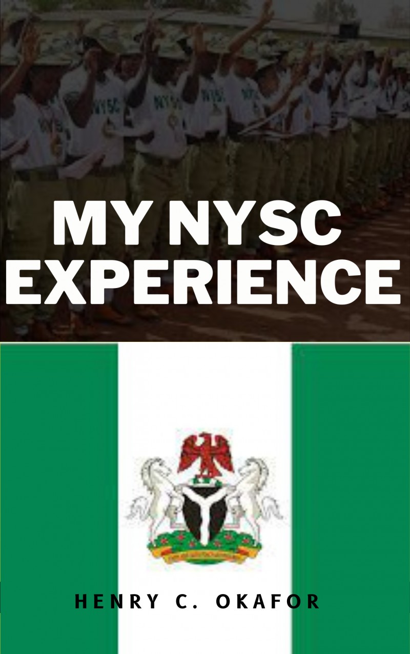 buy-book-by-okafor-henry-chikaosoro-on-selar-co