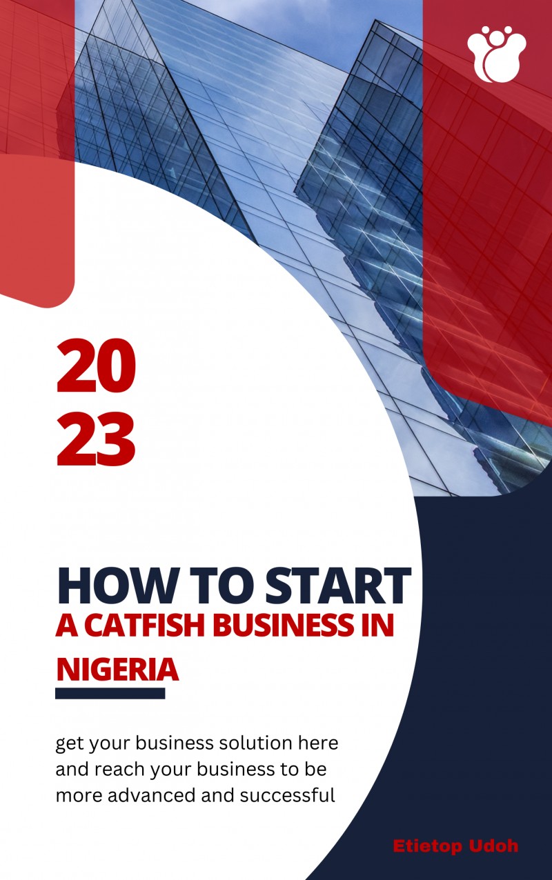 Buy How To Start a Catfish Business in Nigeria by Etietop Udoh on Selar.co