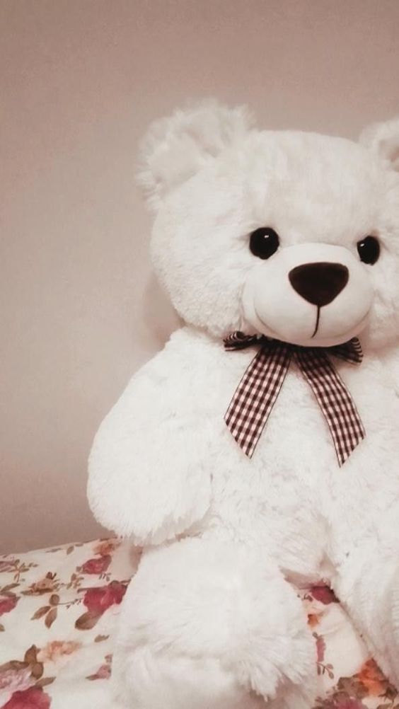 Huge Teddy Bears