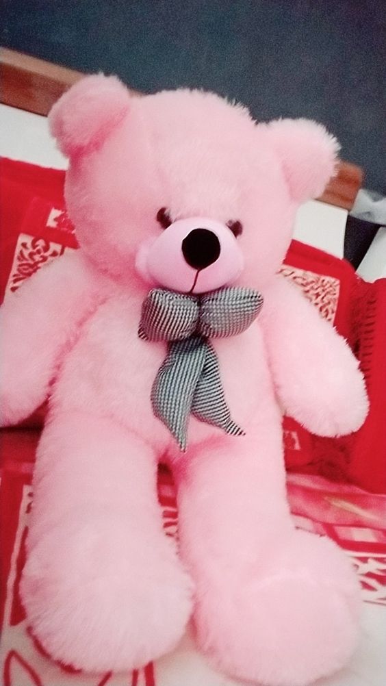 Huge Teddy Bears