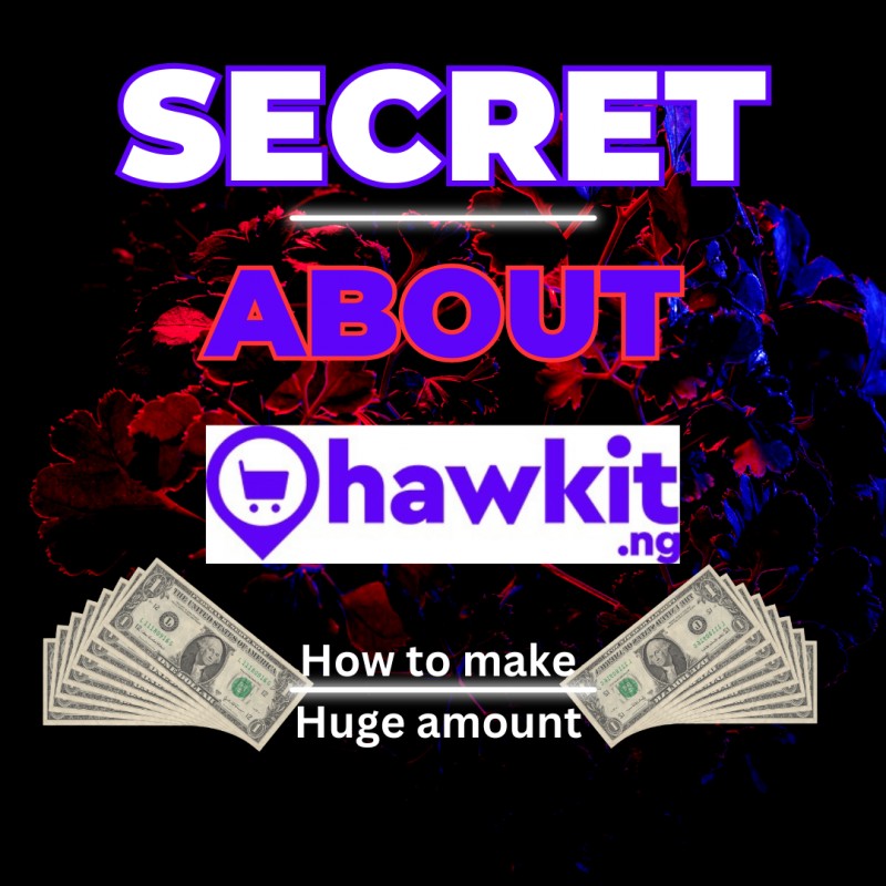 Secret on How to Make huge Amount on Hawkit.ng