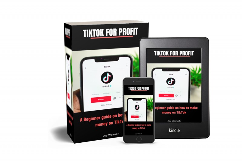 Buy TIKTOK FOR PROFIT: A beginners guide on how to make money on TikTok ...