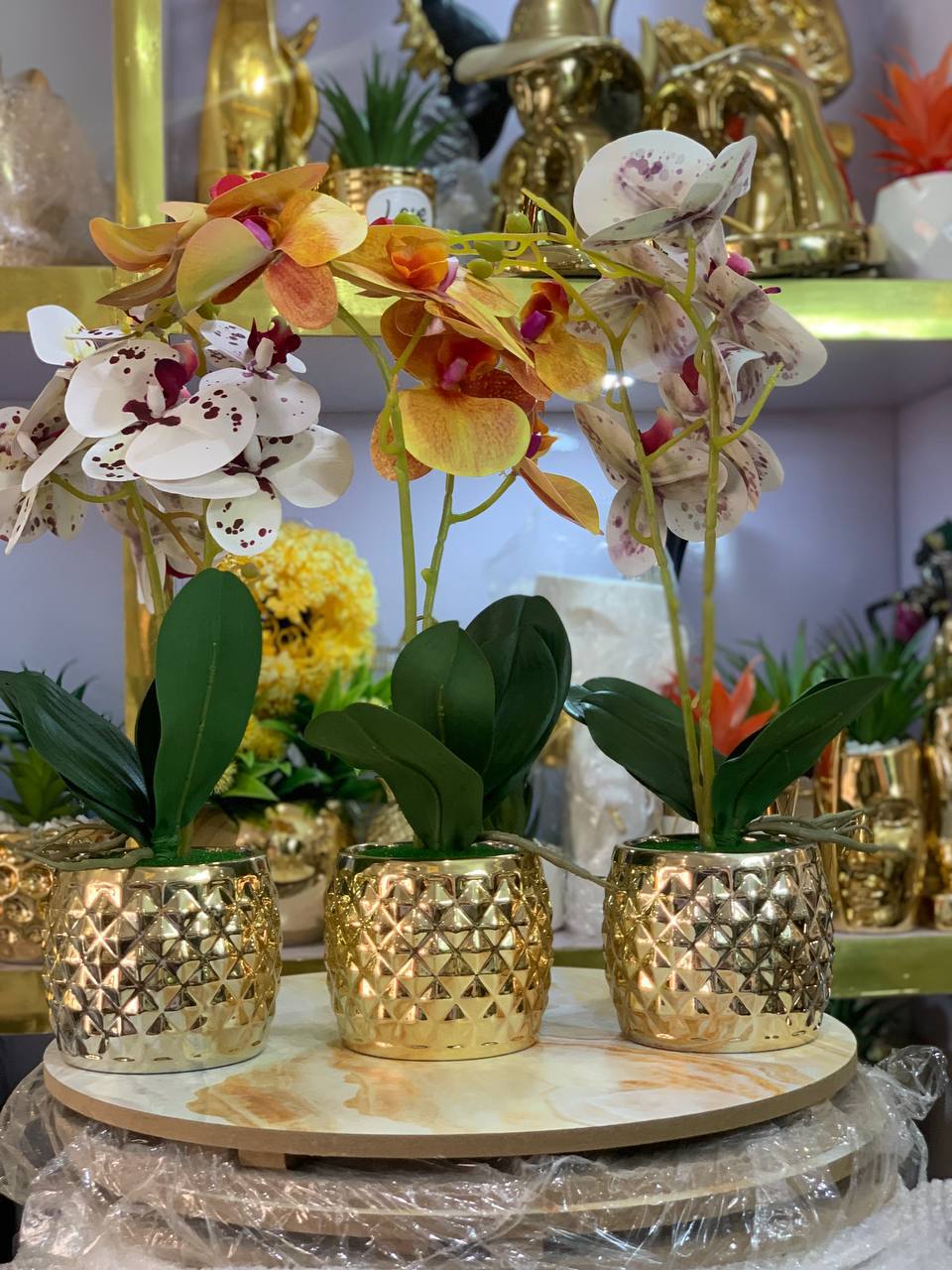 Dimension gold Pot Orchid flower