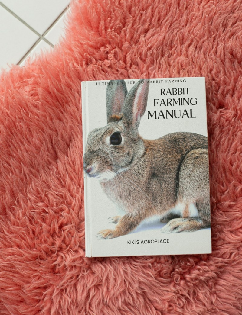 Buy Rabbit farming manual by Kiki's Agroplace on Selar