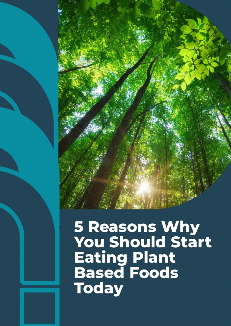 Buy 5 Reasons Why You Should Start Eating Plant Based Foods Today by