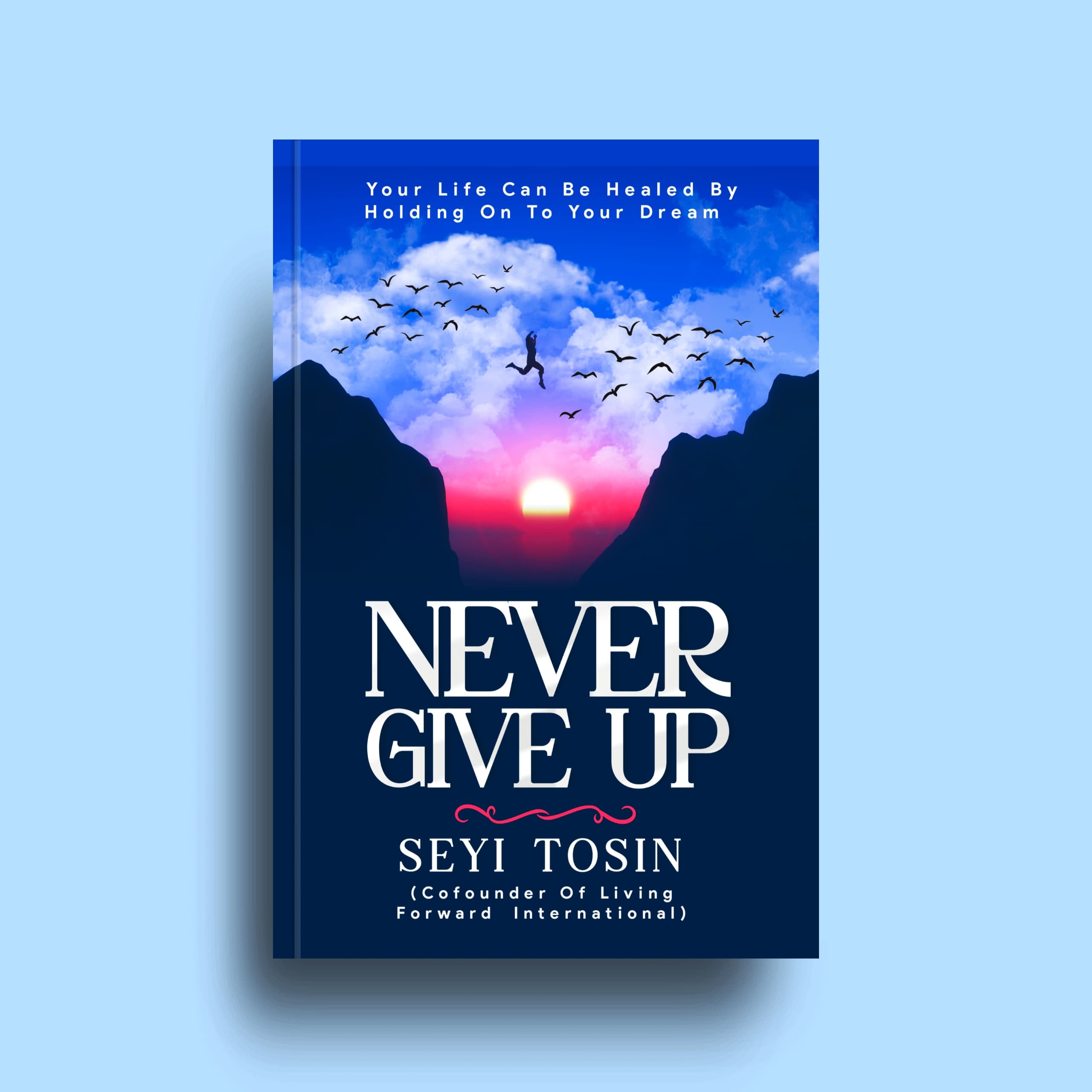 NEVER GIVE UP : your life can be heal by holding on to your dream