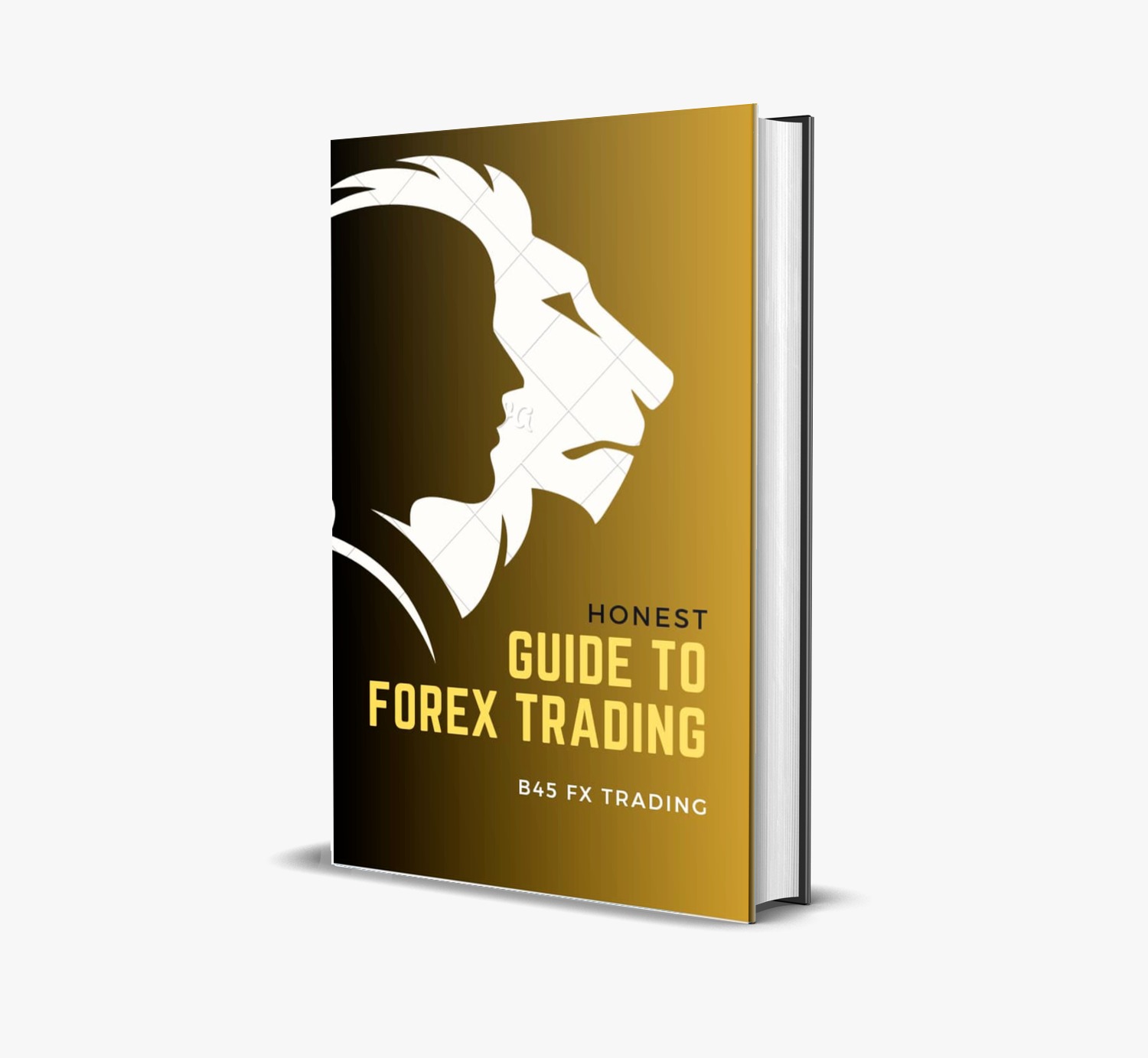 HONEST GUIDE TO FOREX TRADING