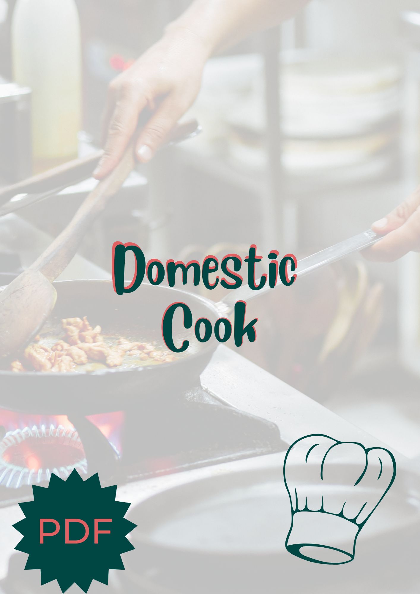 Domestic Cook Questionnaire