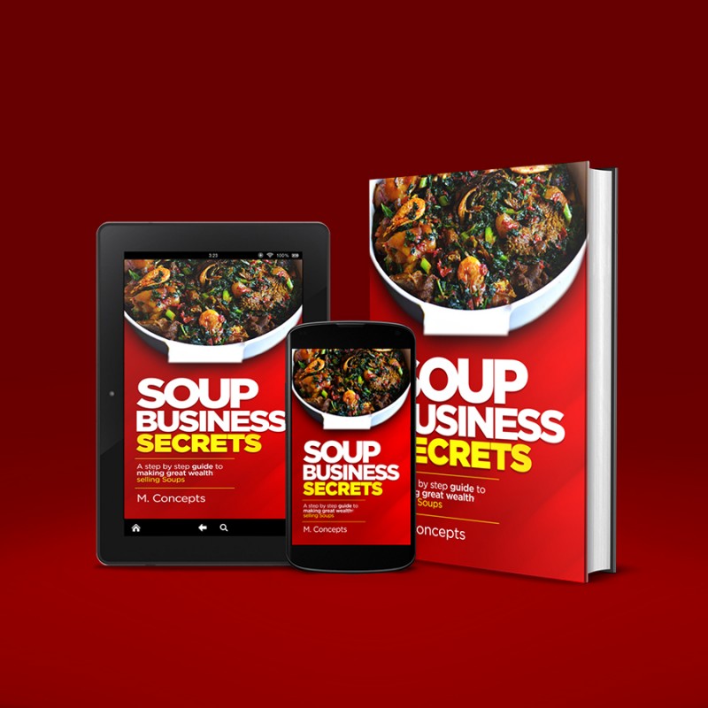 Soup Business Secrets: The Business of Selling Food Online to Busy Professionals, Bachelors, and Moms.